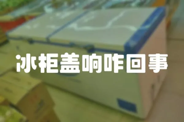 冰柜蓋響咋回事