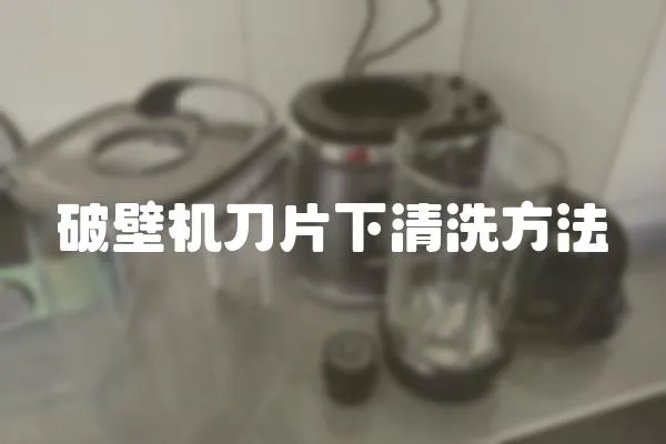 破壁機刀片下清洗方法
