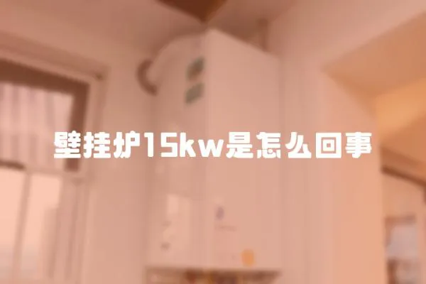 壁掛爐15kw是怎么回事