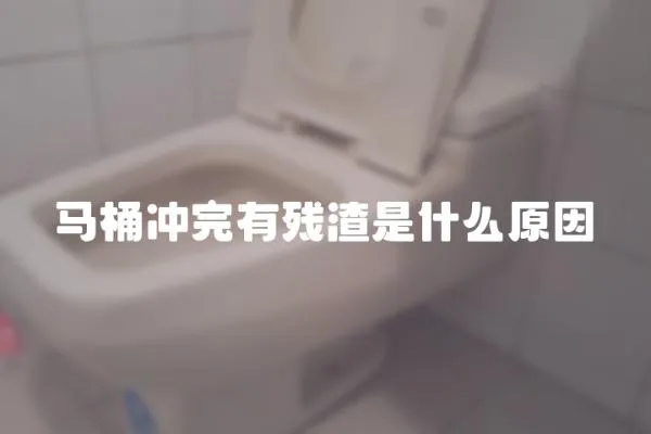 馬桶沖完有殘渣是什么原因