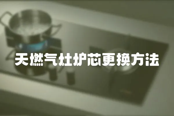 天燃?xì)庠顮t芯更換方法