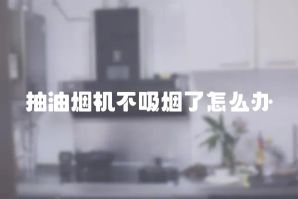抽油煙機不吸煙了怎么辦