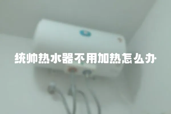統帥熱水器不用加熱怎么辦