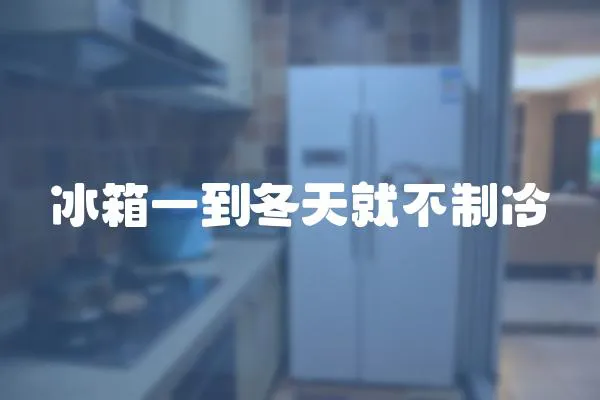 冰箱一到冬天就不制冷