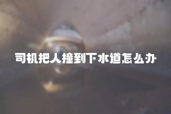 司機把人撞到下水道怎么辦
