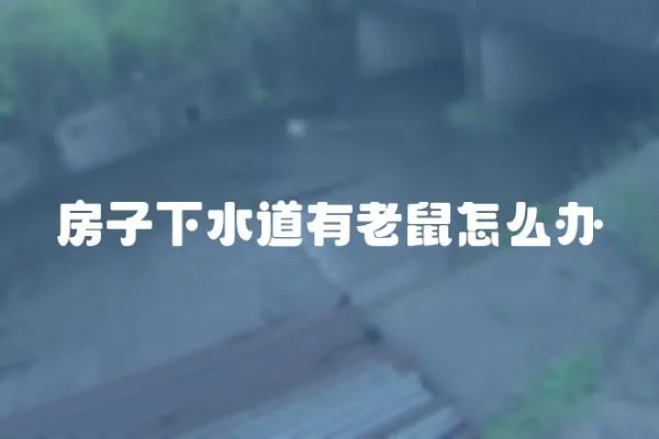 房子下水道有老鼠怎么辦