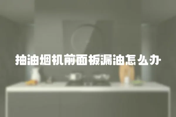 抽油煙機前面板漏油怎么辦