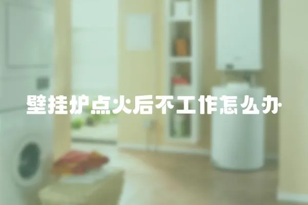 壁掛爐點火后不工作怎么辦