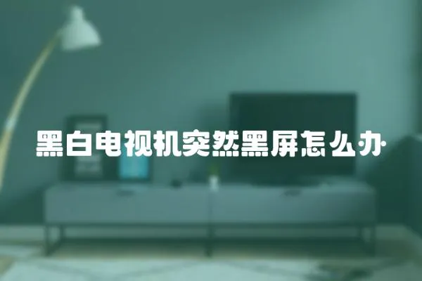 黑白電視機突然黑屏怎么辦