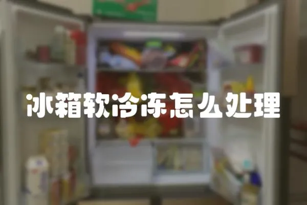 冰箱軟冷凍怎么處理