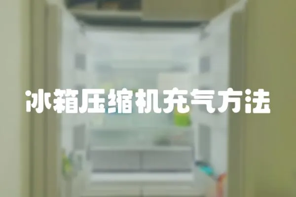 冰箱壓縮機充氣方法