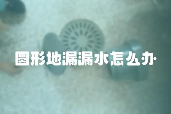 圓形地漏漏水怎么辦