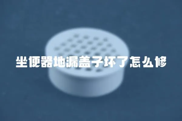 坐便器地漏蓋子壞了怎么修