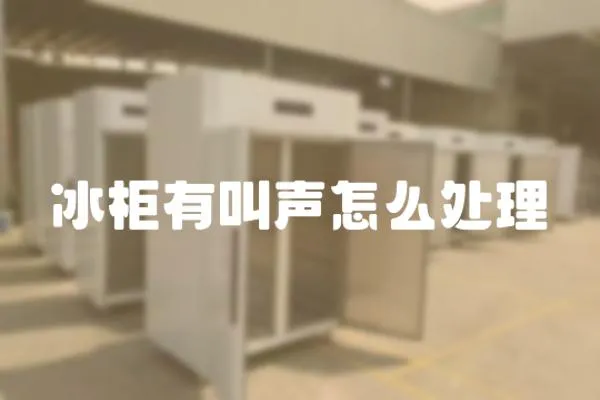 冰柜有叫聲怎么處理