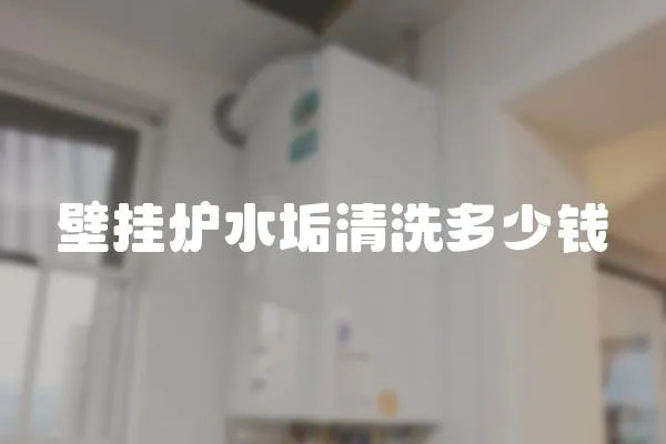 壁掛爐水垢清洗多少錢