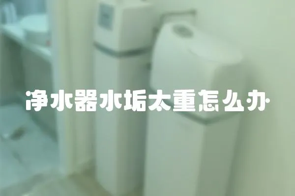 凈水器水垢太重怎么辦