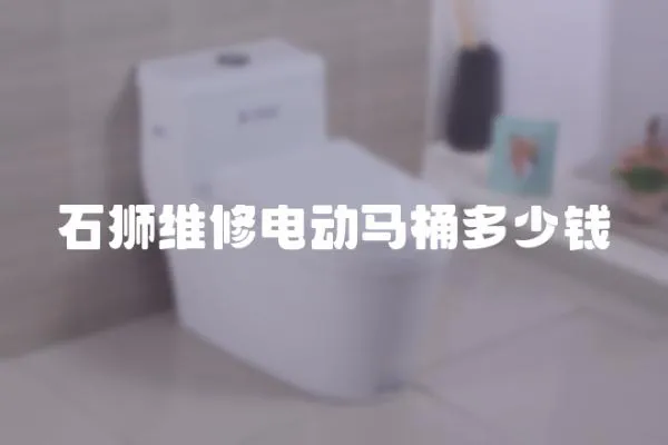 石獅維修電動(dòng)馬桶多少錢