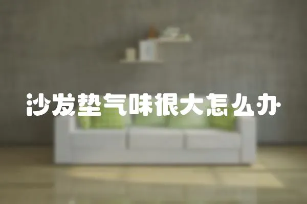 沙發(fā)墊氣味很大怎么辦
