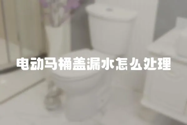 電動馬桶蓋漏水怎么處理