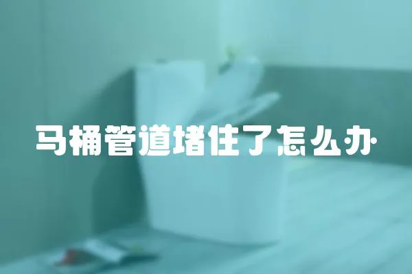 馬桶管道堵住了怎么辦