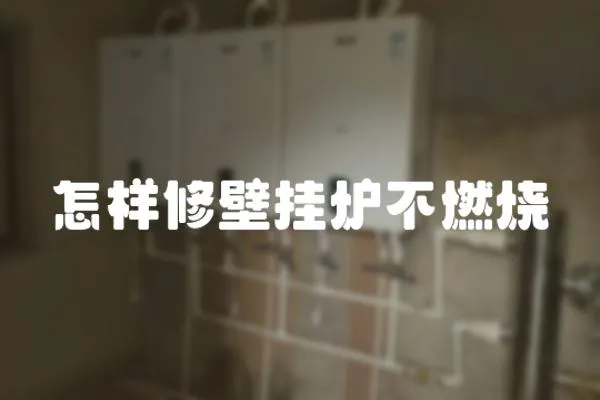 怎樣修壁掛爐不燃燒