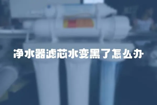 凈水器濾芯水變黑了怎么辦
