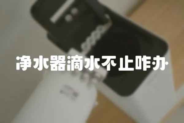 凈水器滴水不止咋辦