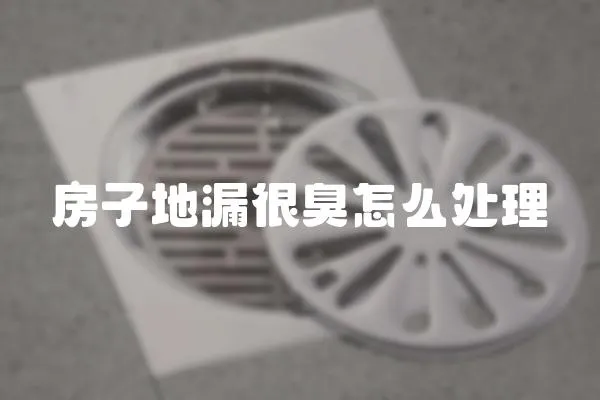 房子地漏很臭怎么處理