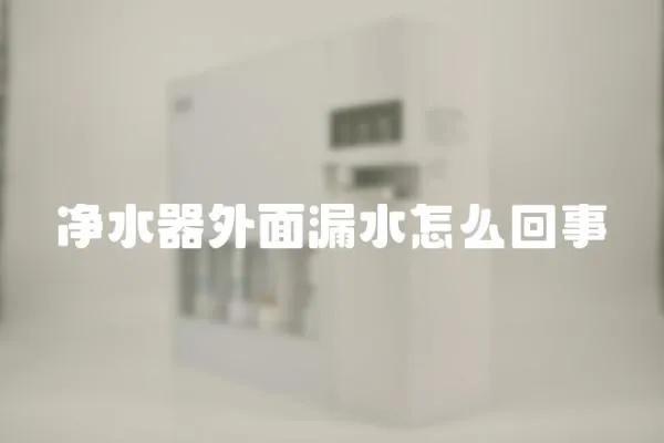 凈水器外面漏水怎么回事