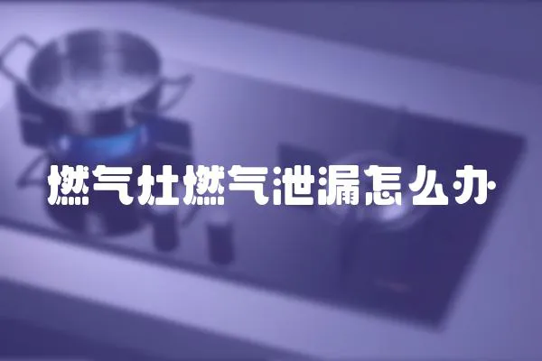 燃?xì)庠钊細(xì)庑孤┰趺崔k