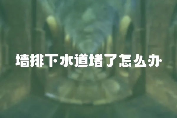 墻排下水道堵了怎么辦