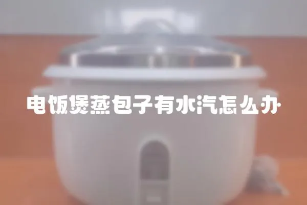 電飯煲蒸包子有水汽怎么辦