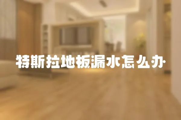 特斯拉地板漏水怎么辦