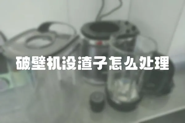 破壁機沒渣子怎么處理