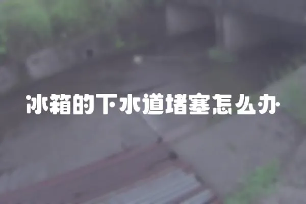 冰箱的下水道堵塞怎么辦