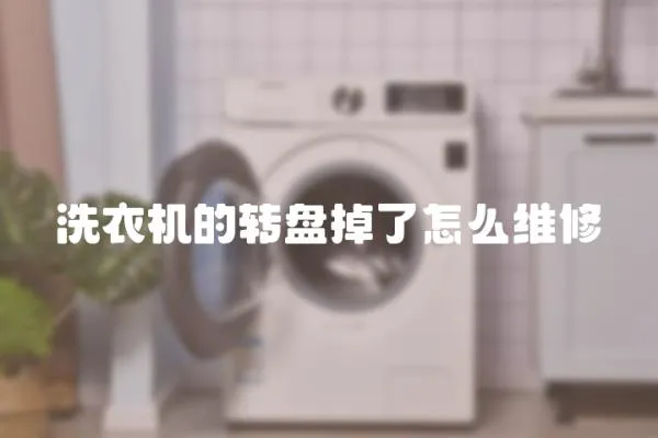 洗衣機(jī)的轉(zhuǎn)盤掉了怎么維修