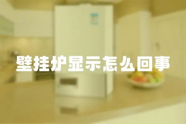 壁掛爐顯示怎么回事