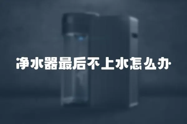 凈水器最后不上水怎么辦
