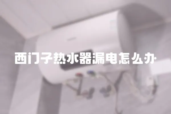 西門子熱水器漏電怎么辦