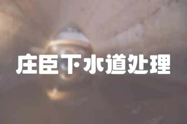 莊臣下水道處理