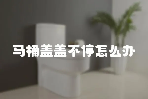 馬桶蓋蓋不停怎么辦