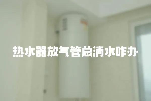 熱水器放氣管總淌水咋辦
