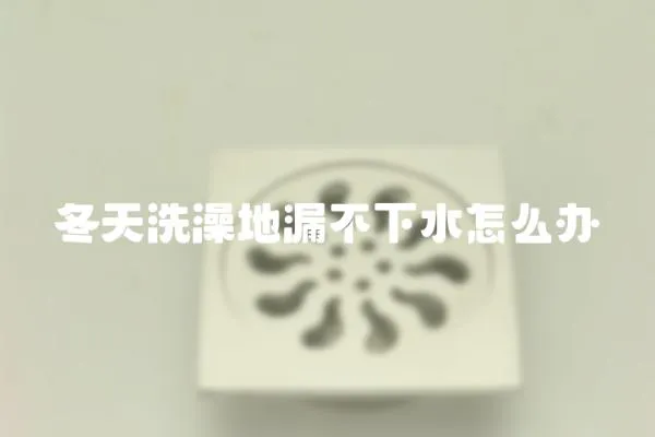冬天洗澡地漏不下水怎么辦