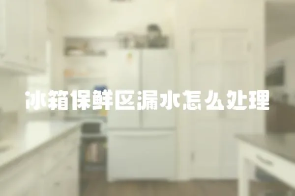 冰箱保鮮區(qū)漏水怎么處理
