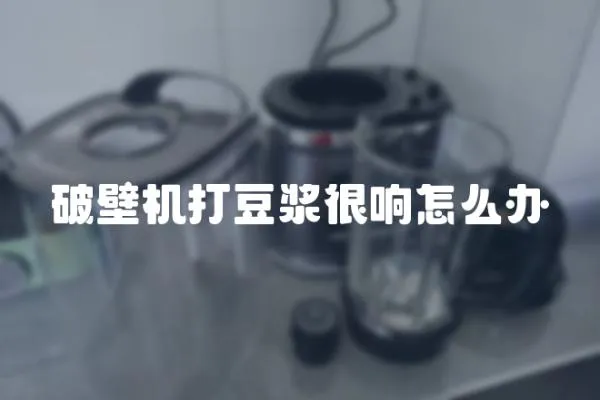 破壁機(jī)打豆?jié){很響怎么辦