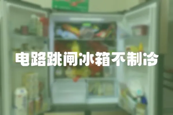 電路跳閘冰箱不制冷