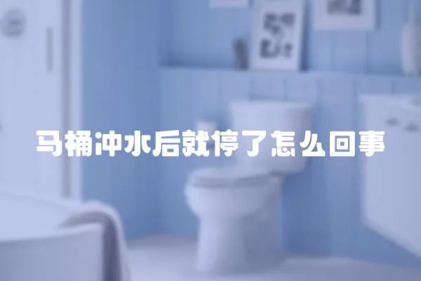 馬桶沖水后就停了怎么回事