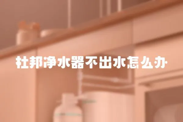 杜邦凈水器不出水怎么辦