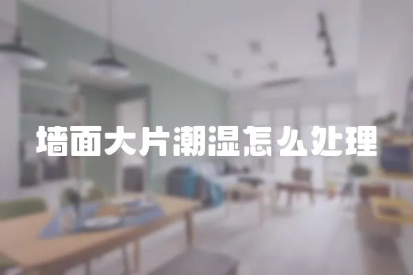 墻面大片潮濕怎么處理
