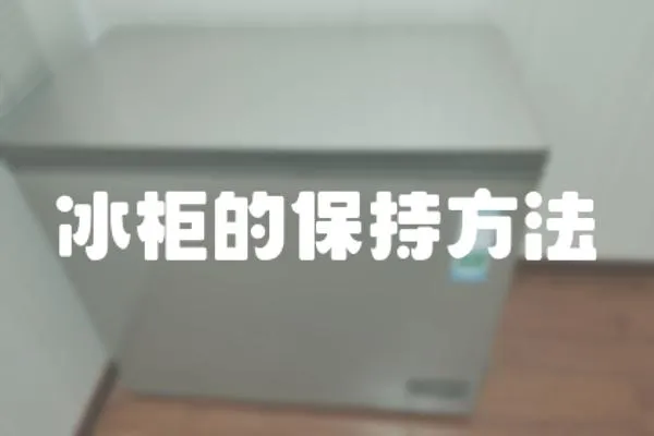 冰柜的保持方法